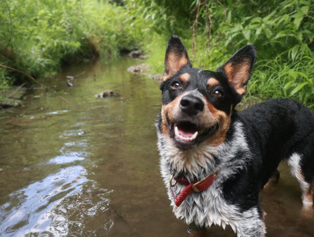 What is Gua&nbsp;Sha?